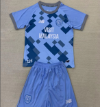 Camiseta Cardiff City 3ª 24-25