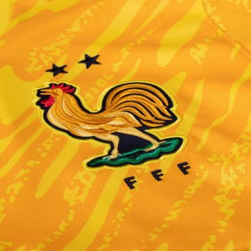 Camiseta Francia Portero 2024 Amarillo