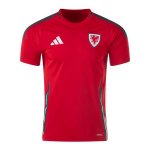 Camiseta Gales 1ª 2024