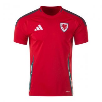 Camiseta Gales 1ª 2024