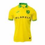 Camiseta Norwich City 1ª 25-26