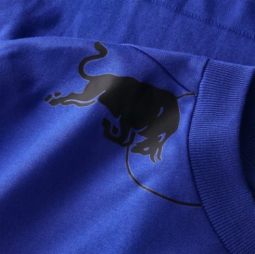 Camiseta Pre Partido del Leeds United 25-26 Azul