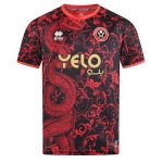 Camiseta Pre Partido del Sheffield United Chinese New Year 24-25