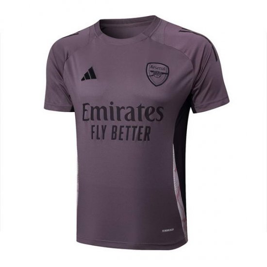 Camiseta de Entrenamiento Arsenal 24-25 Gris Purpura - Haga un click en la imagen para cerrar