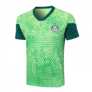 Camiseta de Entrenamiento Palmeiras 24-25 Verde