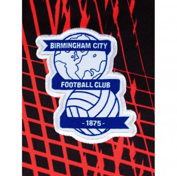 Camiseta Birmingham City Segunda 23-24