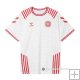 Camiseta Dinamarca Special 2022