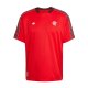 Camiseta Pre Partido del Flamengo 2025 Rojo