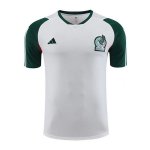 Camiseta de Entrenamiento Mexico 23-24 Blanco