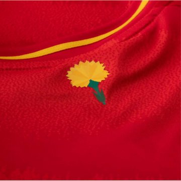 Camiseta Espana 1ª 2024