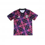 Camiseta Pre Partido del Lyon 25-26 Purpura