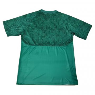 Camiseta de Entrenamiento Fluminense 23-24 Verde