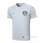 Camiseta de Entrenamiento Palmeiras 23-24 Gris
