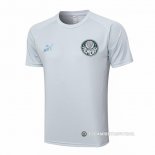 Camiseta de Entrenamiento Palmeiras 23-24 Gris