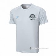 Camiseta de Entrenamiento Palmeiras 23-24 Gris
