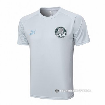 Camiseta de Entrenamiento Palmeiras 23-24 Gris