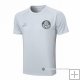Camiseta de Entrenamiento Palmeiras 23-24 Gris