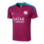 Camiseta de Entrenamiento Paris Saint-Germain 24-25 Purpura