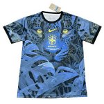 Tailandia Camiseta Brasil Special 24-25 Azul
