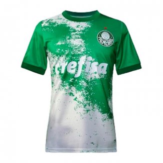 Tailandia Camiseta Palmeiras Special 2024 Verde Gris