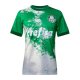 Tailandia Camiseta Palmeiras Special 2024 Verde Gris
