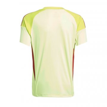 Camiseta Aston Villa Portero 25-26 Amarillo