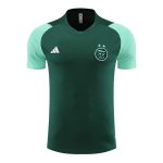 Camiseta de Entrenamiento Argelia 23-24 Verde