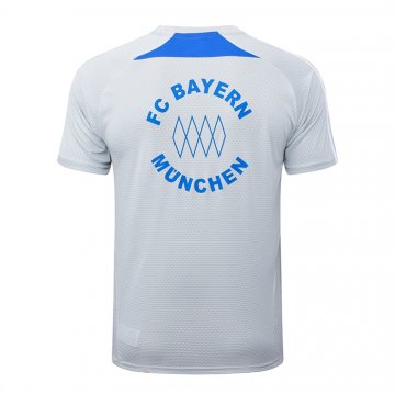 Camiseta de Entrenamiento Bayern Munich 25-26 Gris