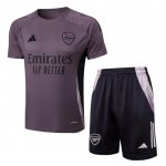 Chandal del Arsenal Manga Corta 24-25 Gris Purpura - Pantalon Corto