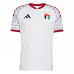 Camiseta Emiratos Arabes Unidos 1ª Authentic 2026