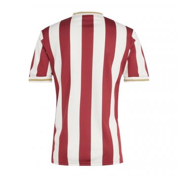 Camiseta Nurnberg Anniversary 24-25