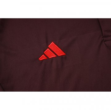 Camiseta Polo del Bayern Munich 24-25 Rojo