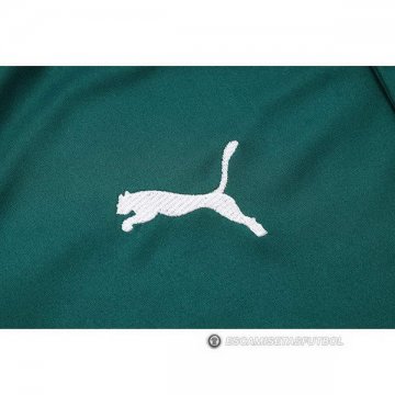 Camiseta Polo del Palmeiras 23-24 Verde
