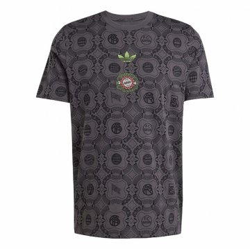 Camiseta Pre Partido del Bayern Munich 25-26 Gris