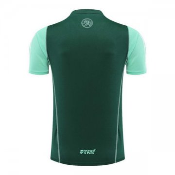 Camiseta de Entrenamiento Argelia 23-24 Verde