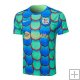 Camiseta de Entrenamiento Barcelona 24-25 Verde