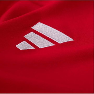 Camiseta Gales 1ª 2024