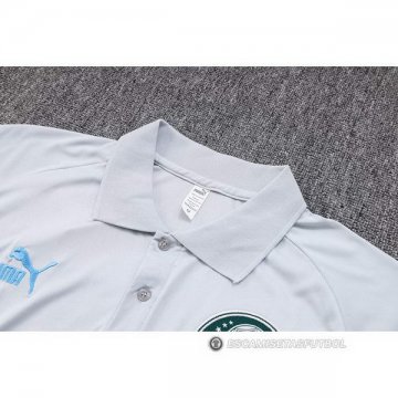 Camiseta Polo del Palmeiras 23-24 Gris