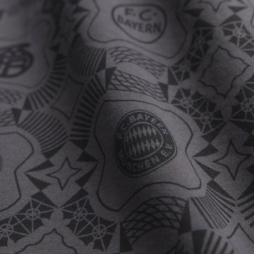Camiseta Pre Partido del Bayern Munich 25-26 Gris