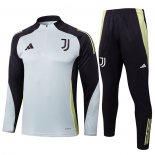 Chandal de Sudadera del Juventus 24-25 Gris