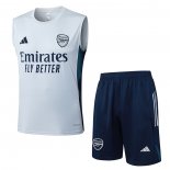 Chandal del Arsenal Sin Mangas 25-26 Gris