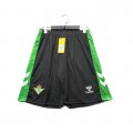 Pantalones Real Betis 1ª 25-26