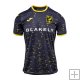 Camiseta Norwich City 2ª 24-25