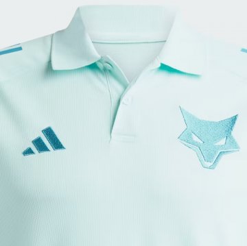 Camiseta Polo del Cruzeiro 24-25 Verde