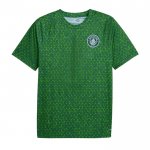 Camiseta Pre Partido del Manchester City 25-26 Verde