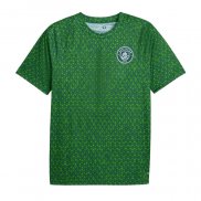 Camiseta Pre Partido del Manchester City 25-26 Verde