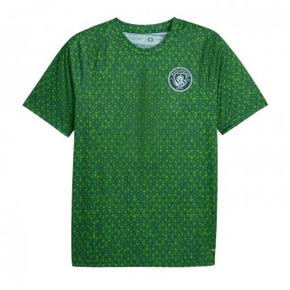 Camiseta Pre Partido del Manchester City 25-26 Verde