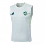 Camiseta de Entrenamiento Al-Ahli Saudi Sin Mangas 25-26 Blanco