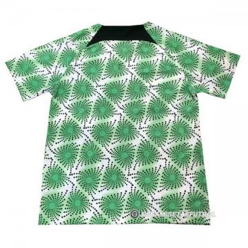 Camiseta de Entrenamiento Nigeria 2022 Verde
