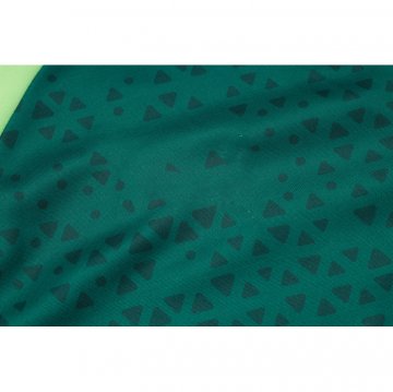 Chandal de Sudadera del Palmeiras 24-25 Verde